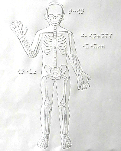 点字で著した大まかな人体の骨格図